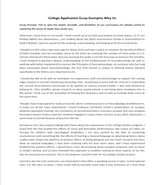 Sample College Application Essay on 'Why Us' (PDF)