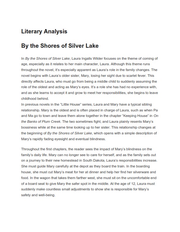  Literary Analysis Essay Example  (PDF)