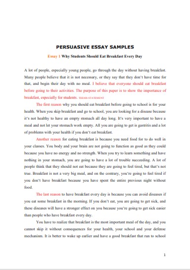 persuasive essay about college