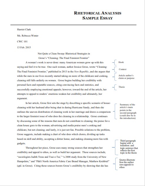 Rhetorical Analysis Essay Example for College(PDF)