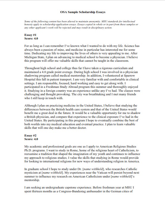 Educational And Career Goals Essay Examples educational-and-career-goals-essay-examples