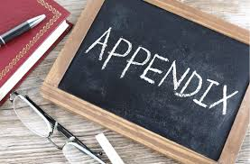 Appendix Writing