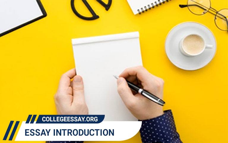 Learn How to Write an Essay Introduction with Examples essay introduction writing
