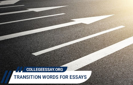 transition words for essays 
